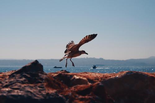 pexels-nesrin-ozturk-12237758