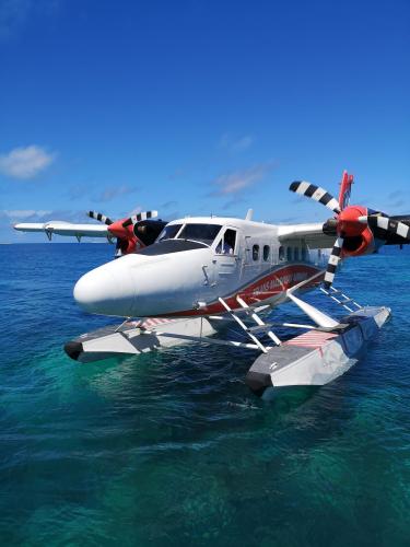 pexels-ahmed-abd-allah-10977065