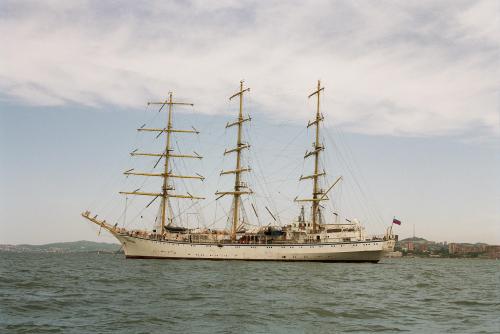 pexels-carmen-attal-2858927