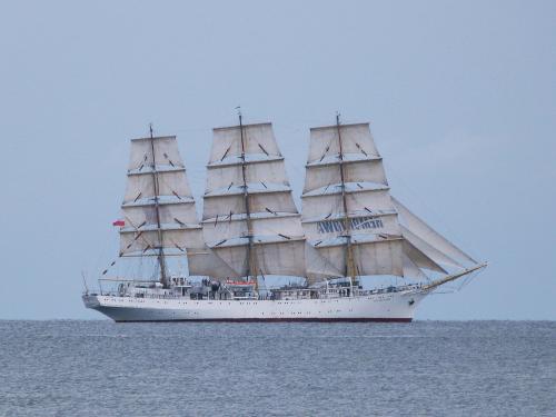 pexels-iwona-kisiel-2655976