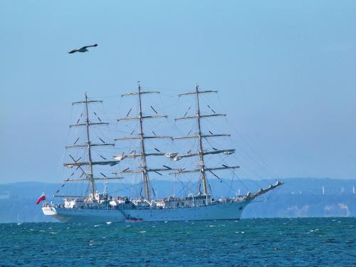 pexels-iwona-kisiel-2656198