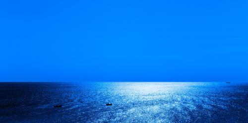 pexels-mike-behrens-802201