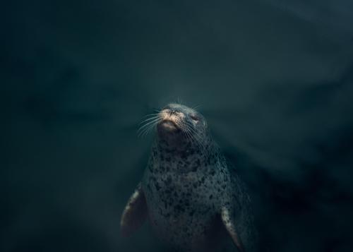 pexels-benjamin-farren-11767270